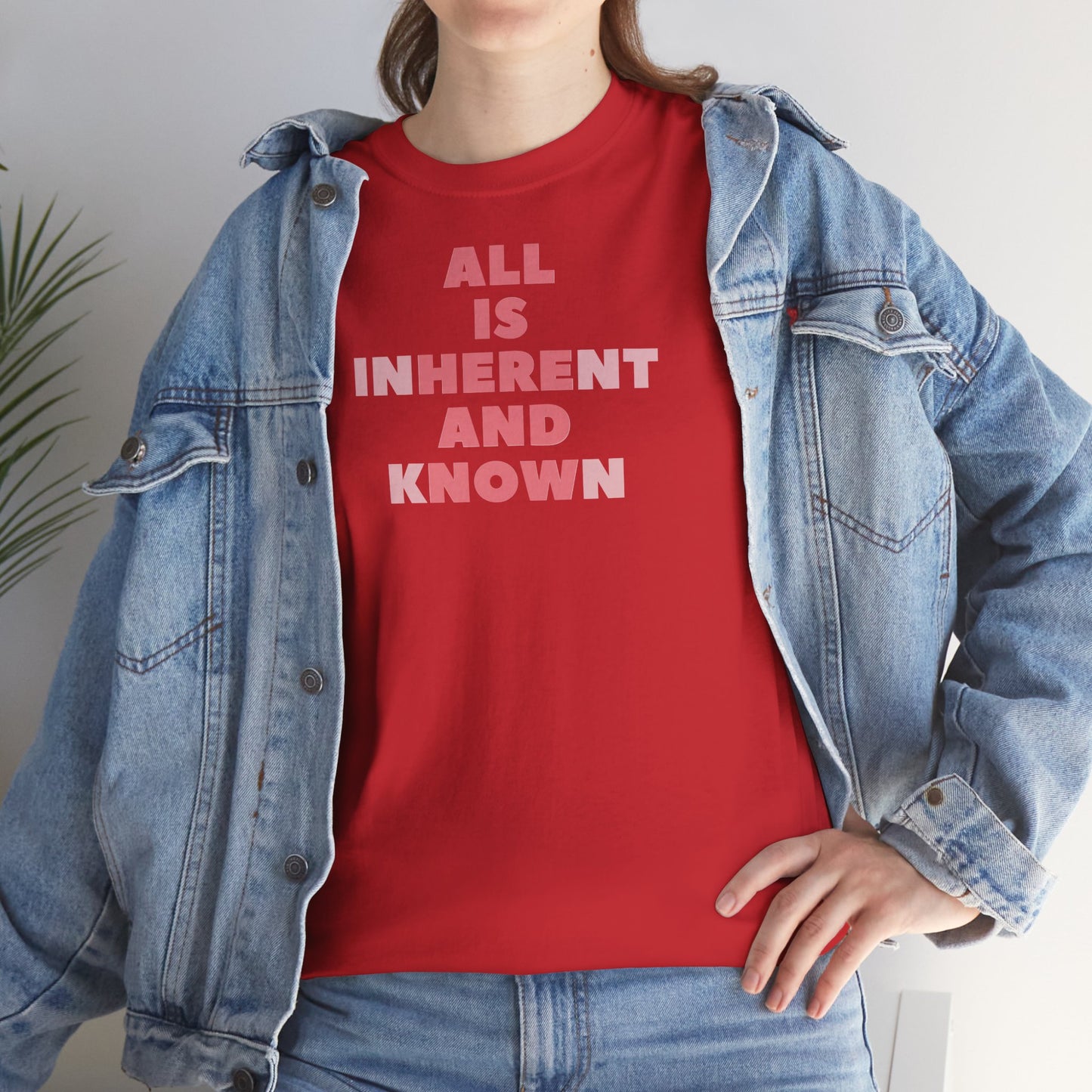 ALL IS INHERENT AND KNOWN Unisex Heavy Cotton Tee