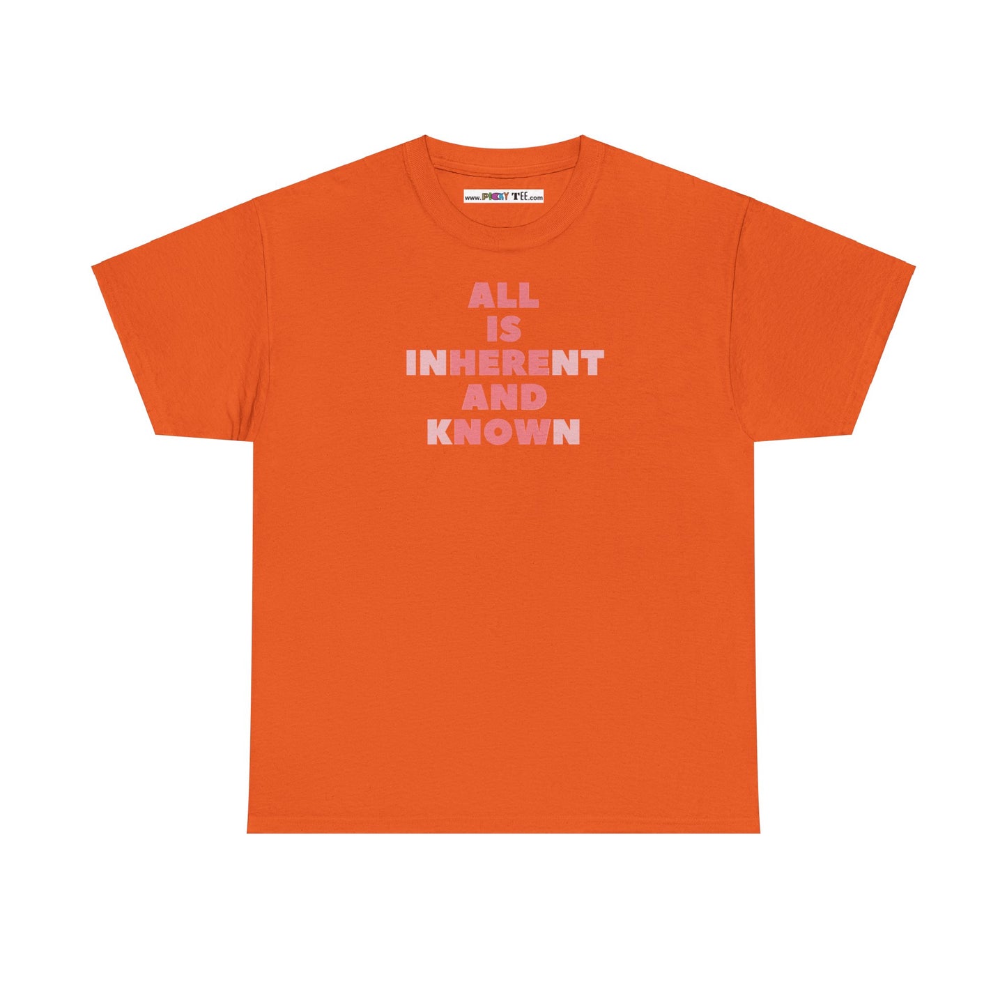 ALL IS INHERENT AND KNOWN Unisex Heavy Cotton Tee