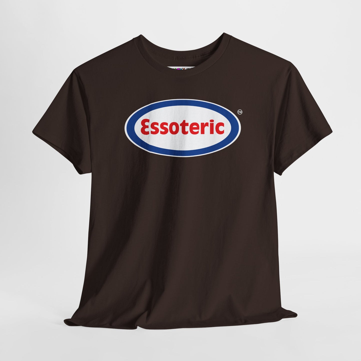 Essoteric Unisex Heavy Cotton Tee