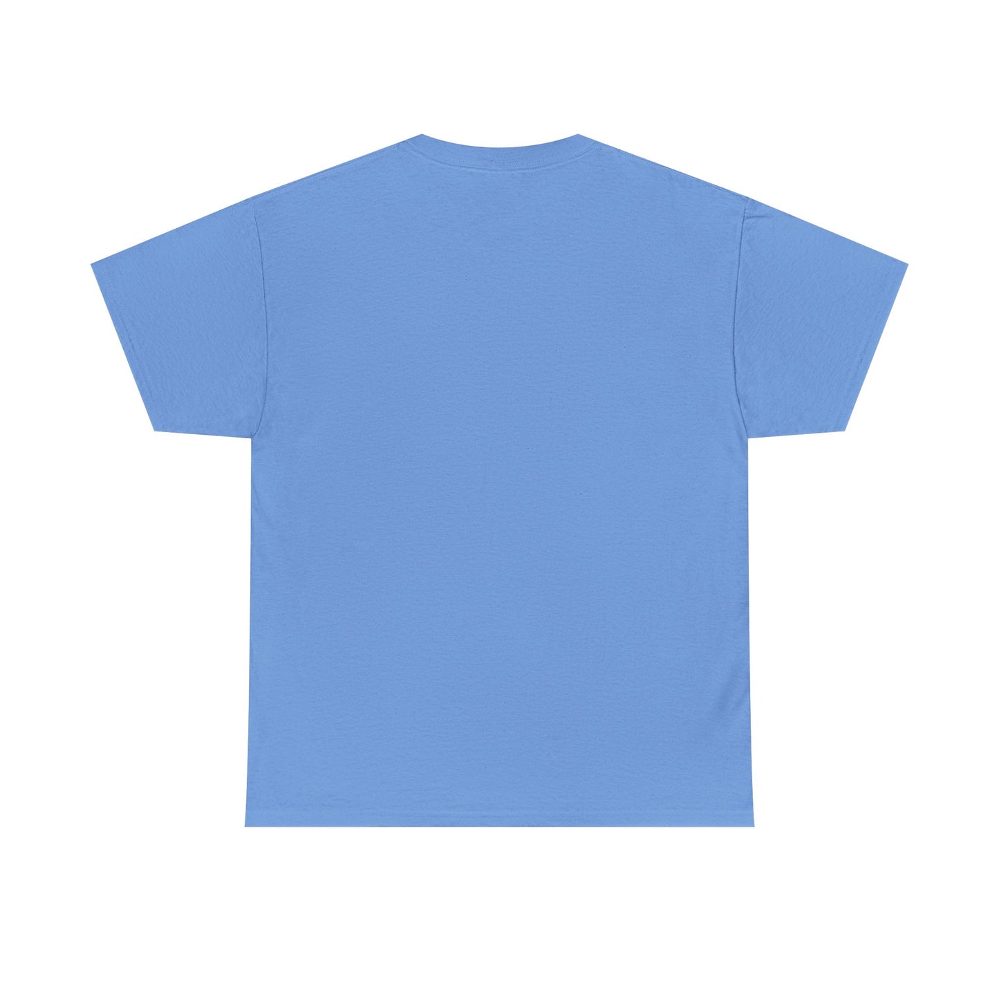 Voicewithin Unisex Heavy Cotton Tee