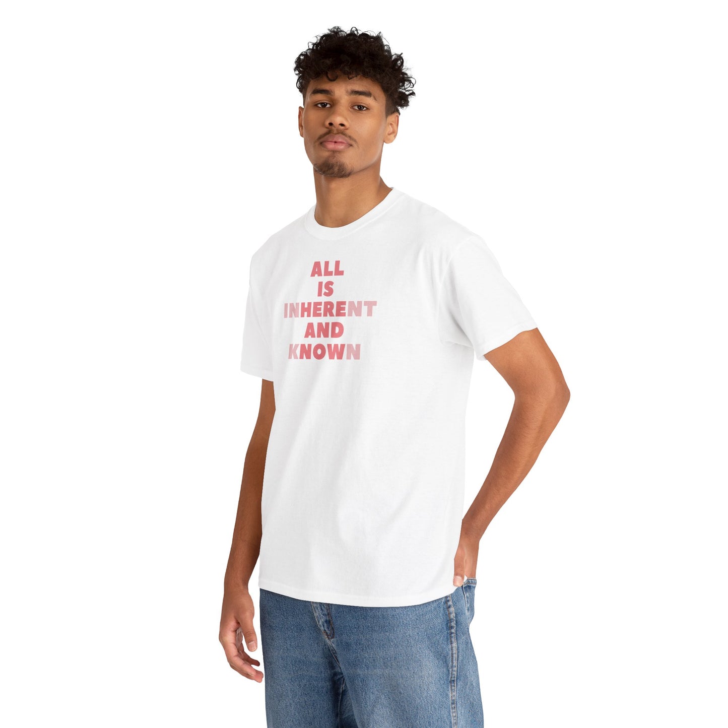 ALL IS INHERENT AND KNOWN Unisex Heavy Cotton Tee