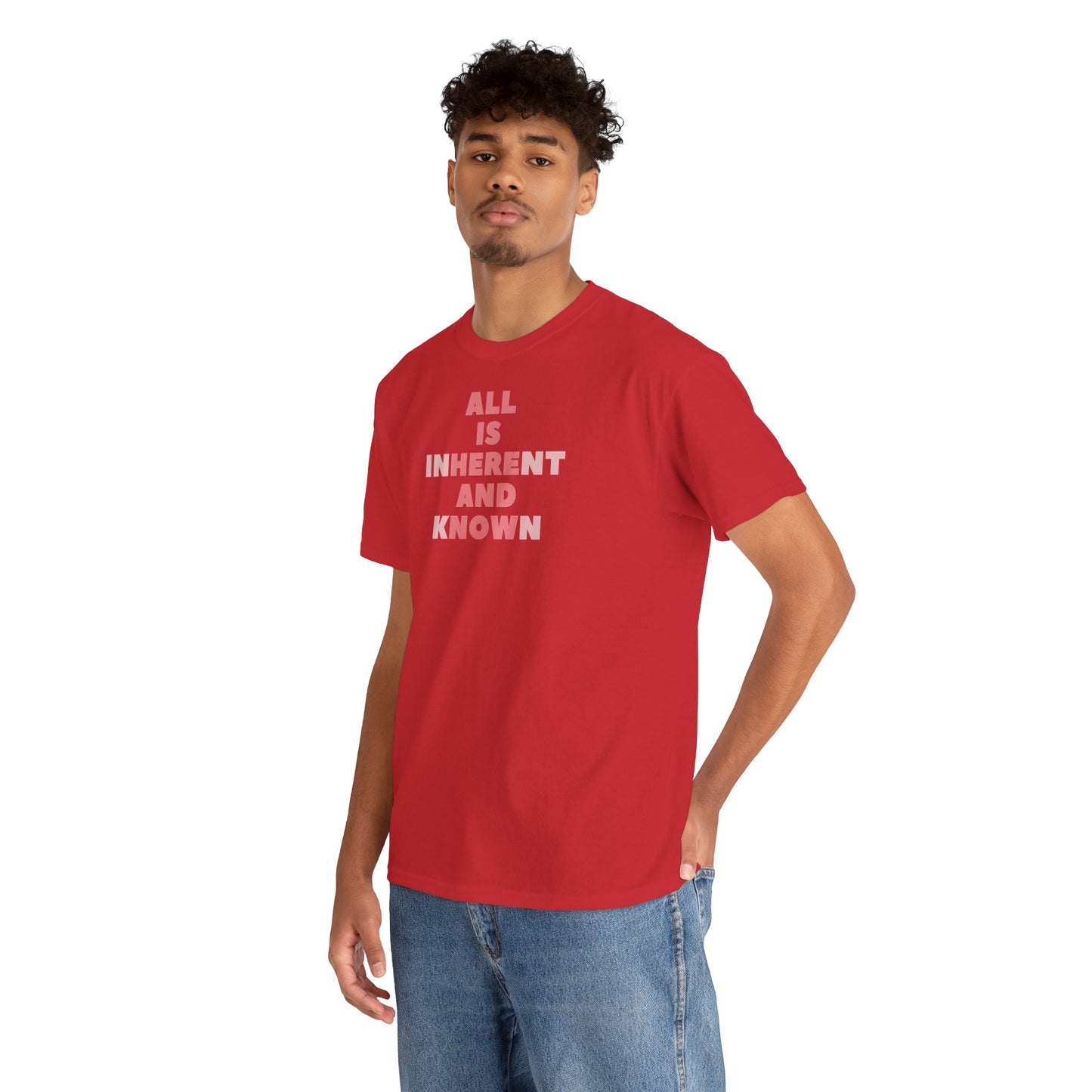 ALL IS INHERENT AND KNOWN Unisex Heavy Cotton Tee