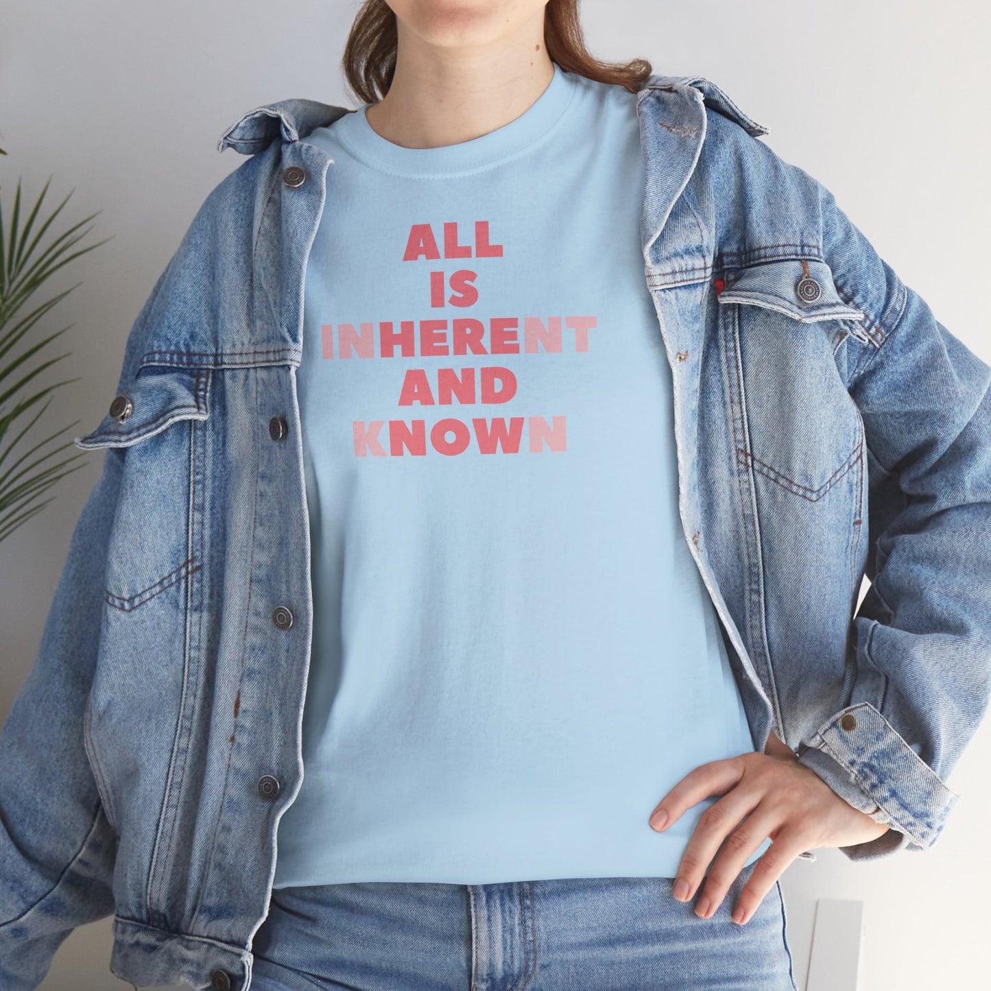 ALL IS INHERENT AND KNOWN Unisex Heavy Cotton Tee