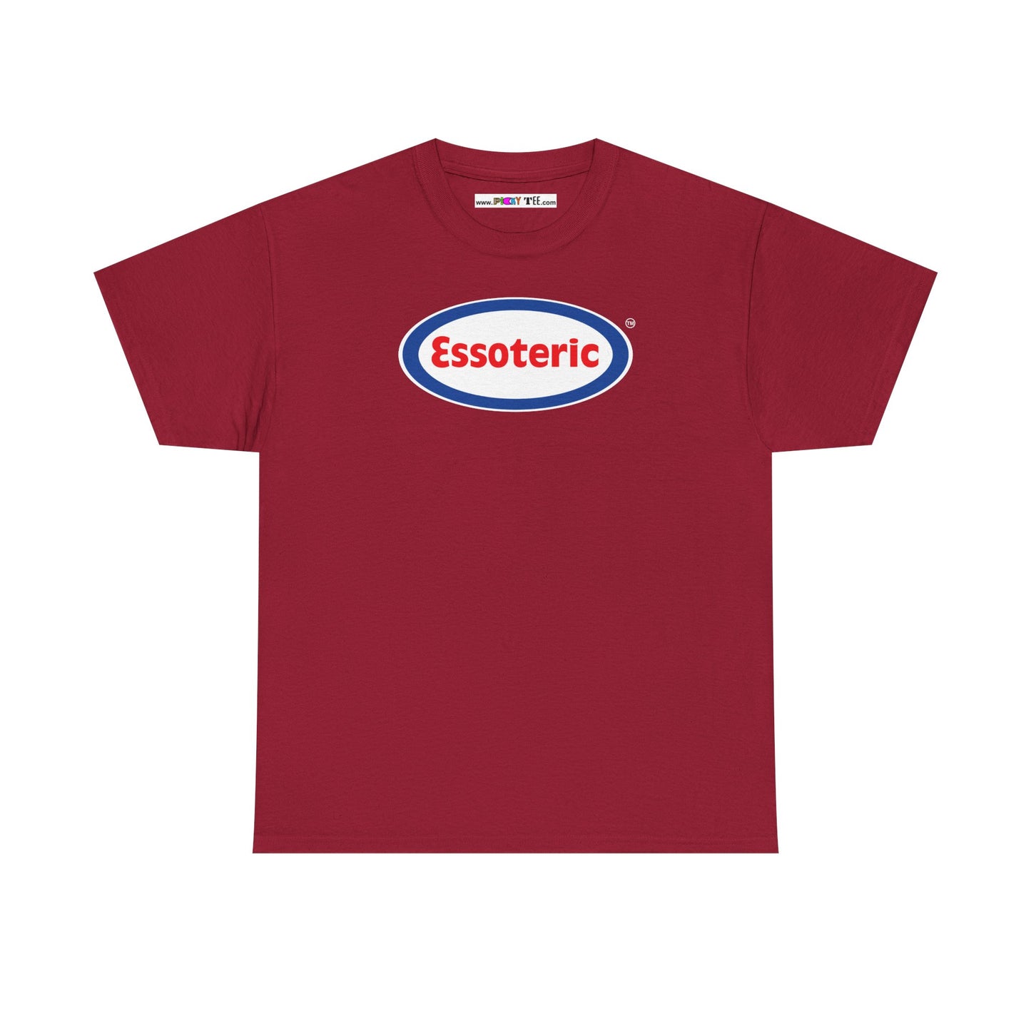 Essoteric Unisex Heavy Cotton Tee