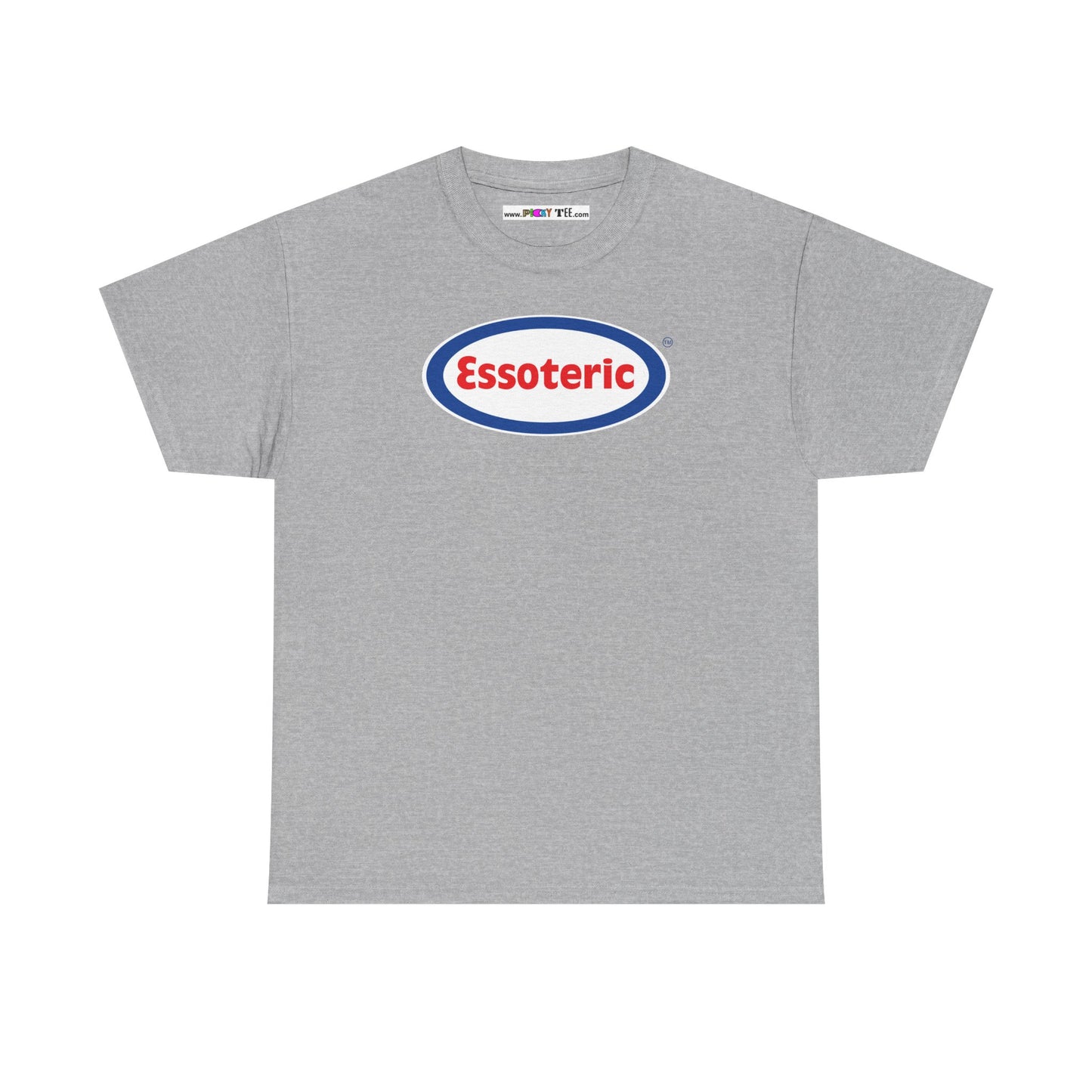 Essoteric Unisex Heavy Cotton Tee