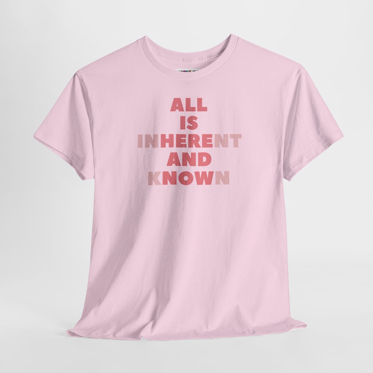 ALL IS INHERENT AND KNOWN Unisex Heavy Cotton Tee