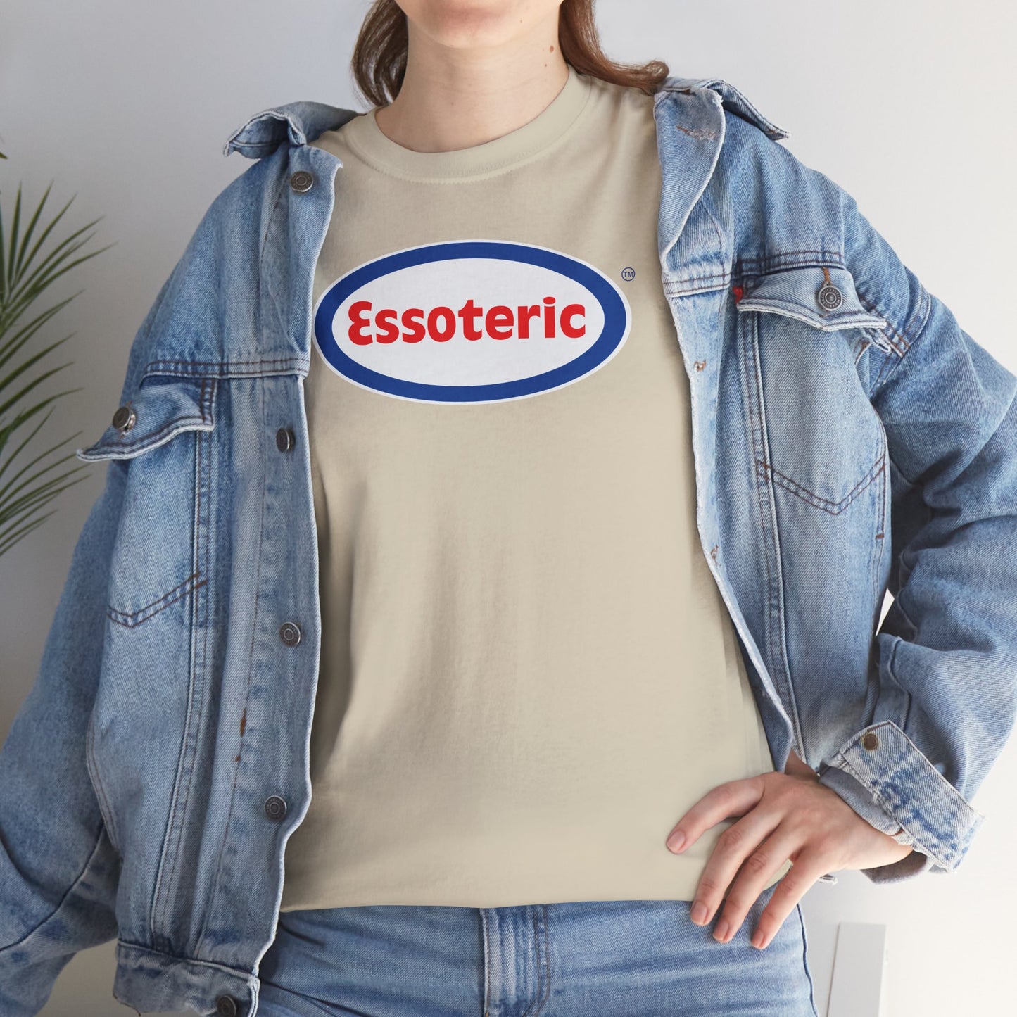Essoteric Unisex Heavy Cotton Tee