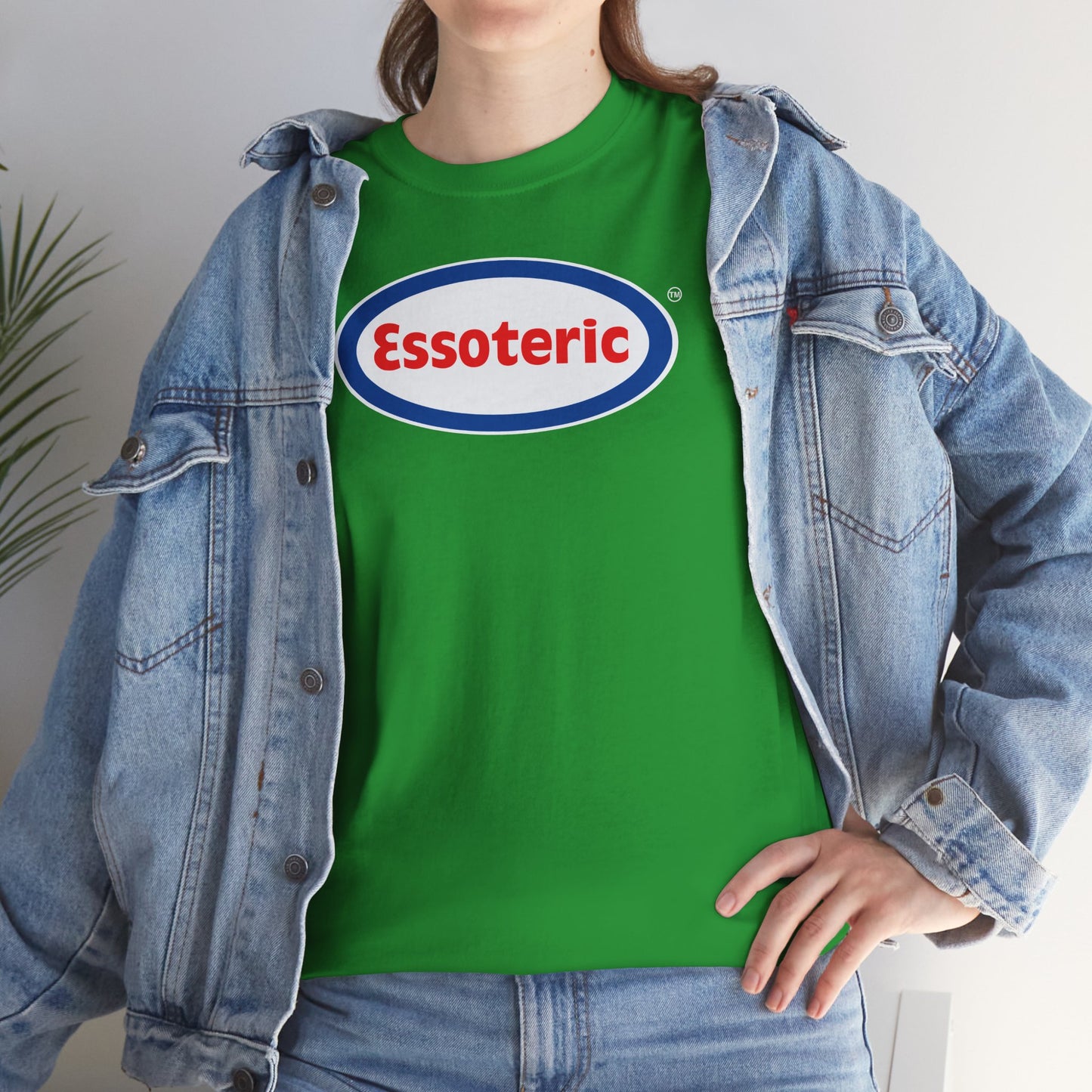 Essoteric Unisex Heavy Cotton Tee
