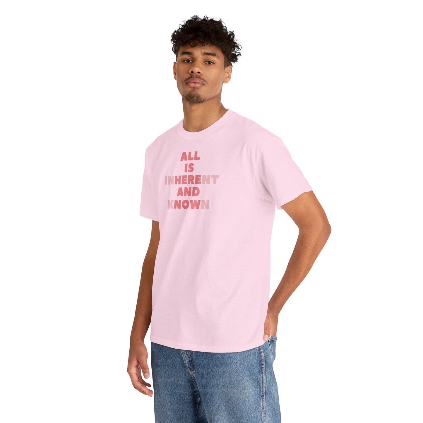 ALL IS INHERENT AND KNOWN Unisex Heavy Cotton Tee