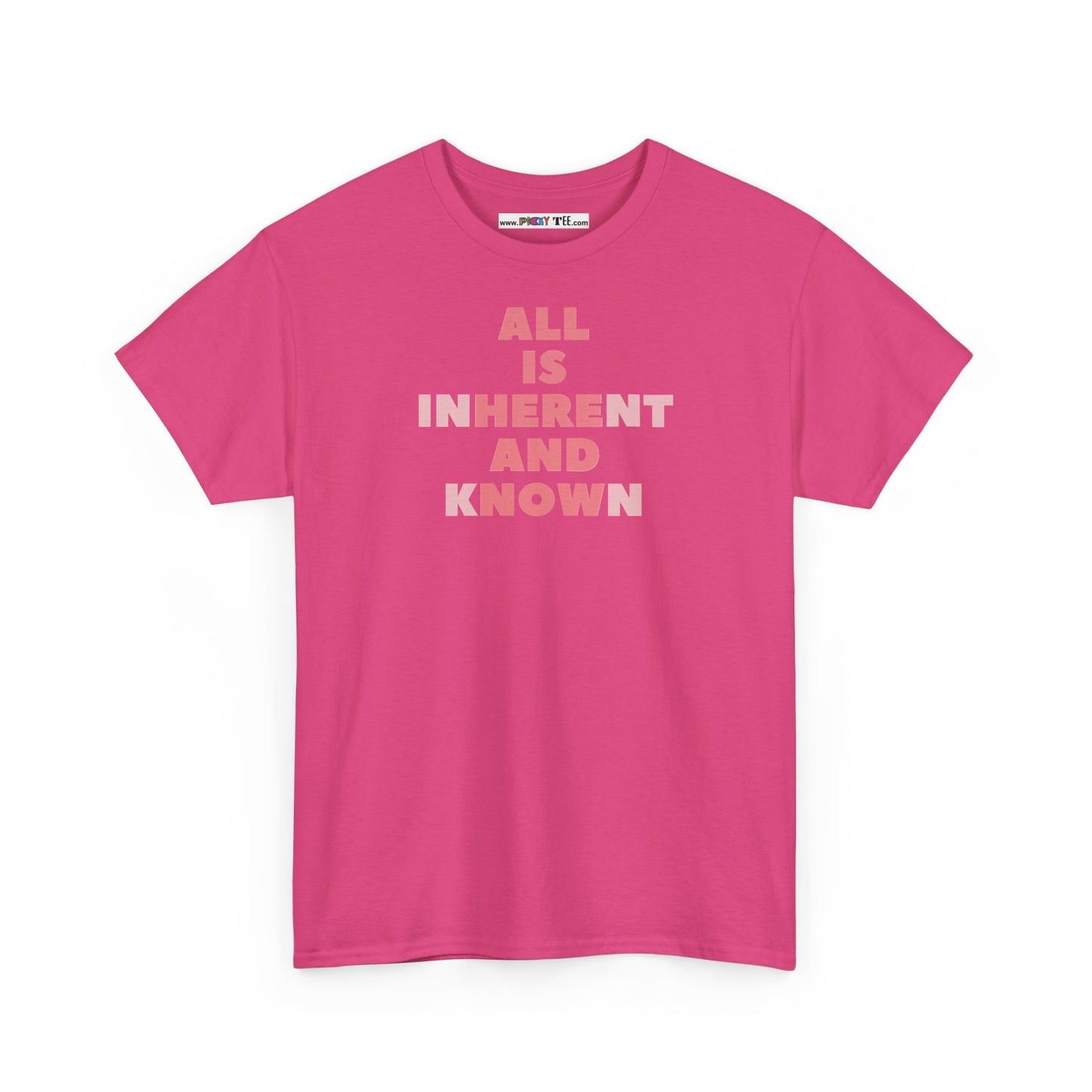 ALL IS INHERENT AND KNOWN Unisex Heavy Cotton Tee