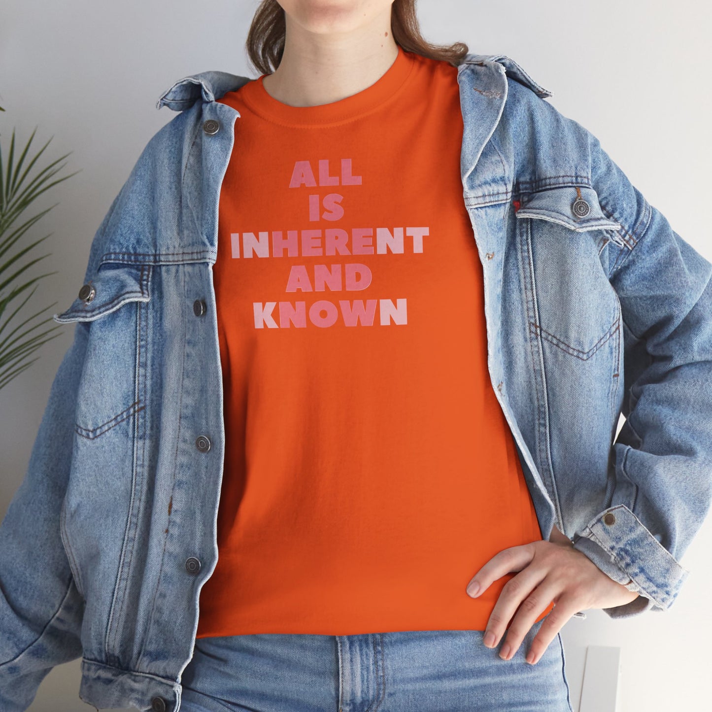 ALL IS INHERENT AND KNOWN Unisex Heavy Cotton Tee