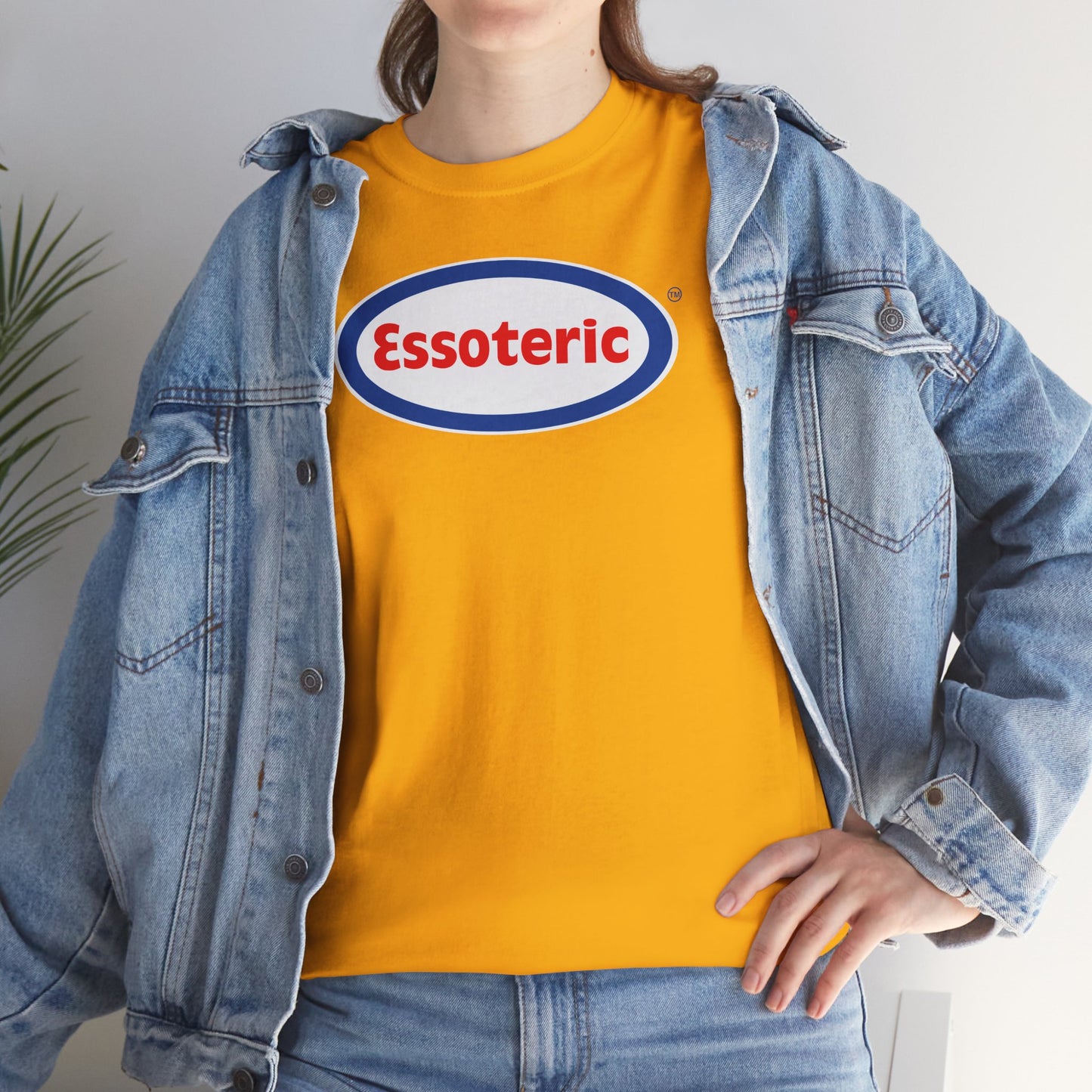 Essoteric Unisex Heavy Cotton Tee