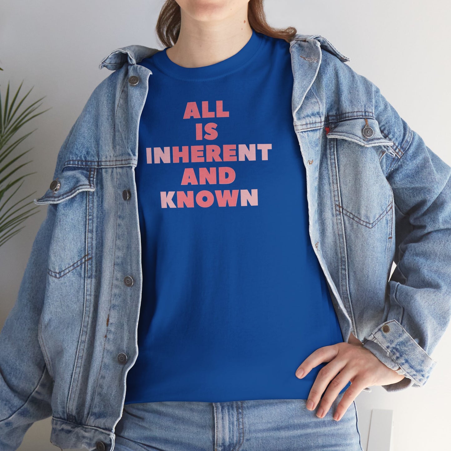 ALL IS INHERENT AND KNOWN Unisex Heavy Cotton Tee