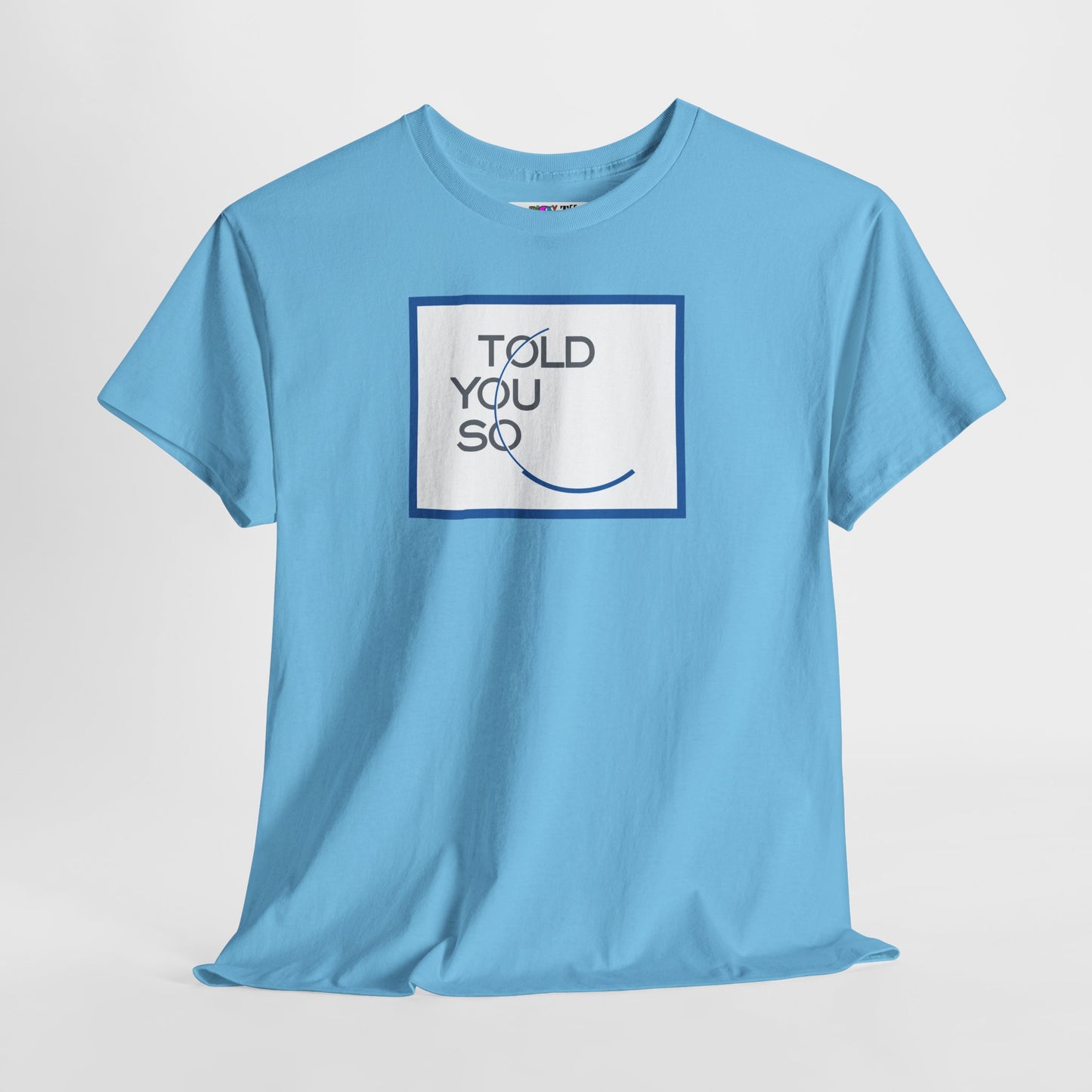TOLD YOU SO Unisex Heavy Cotton Tee