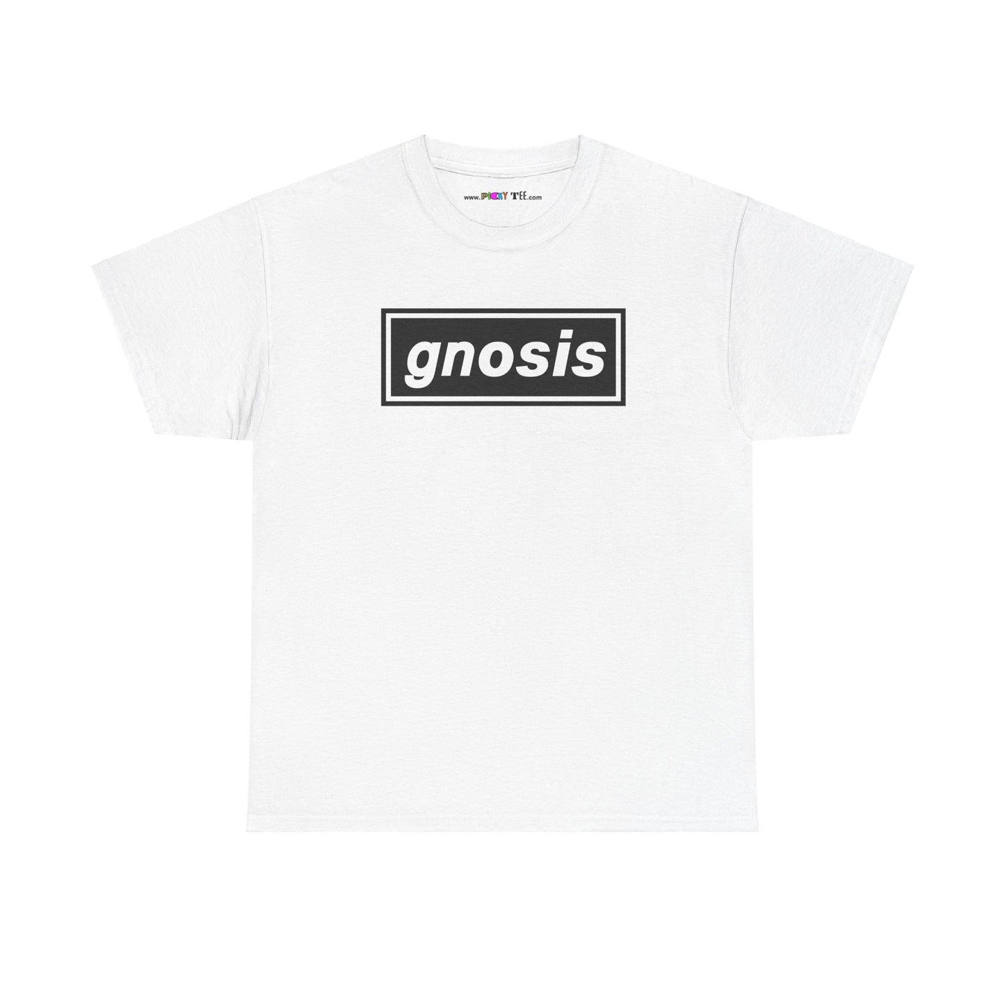 GNOSIS Unisex Heavy Cotton Tee