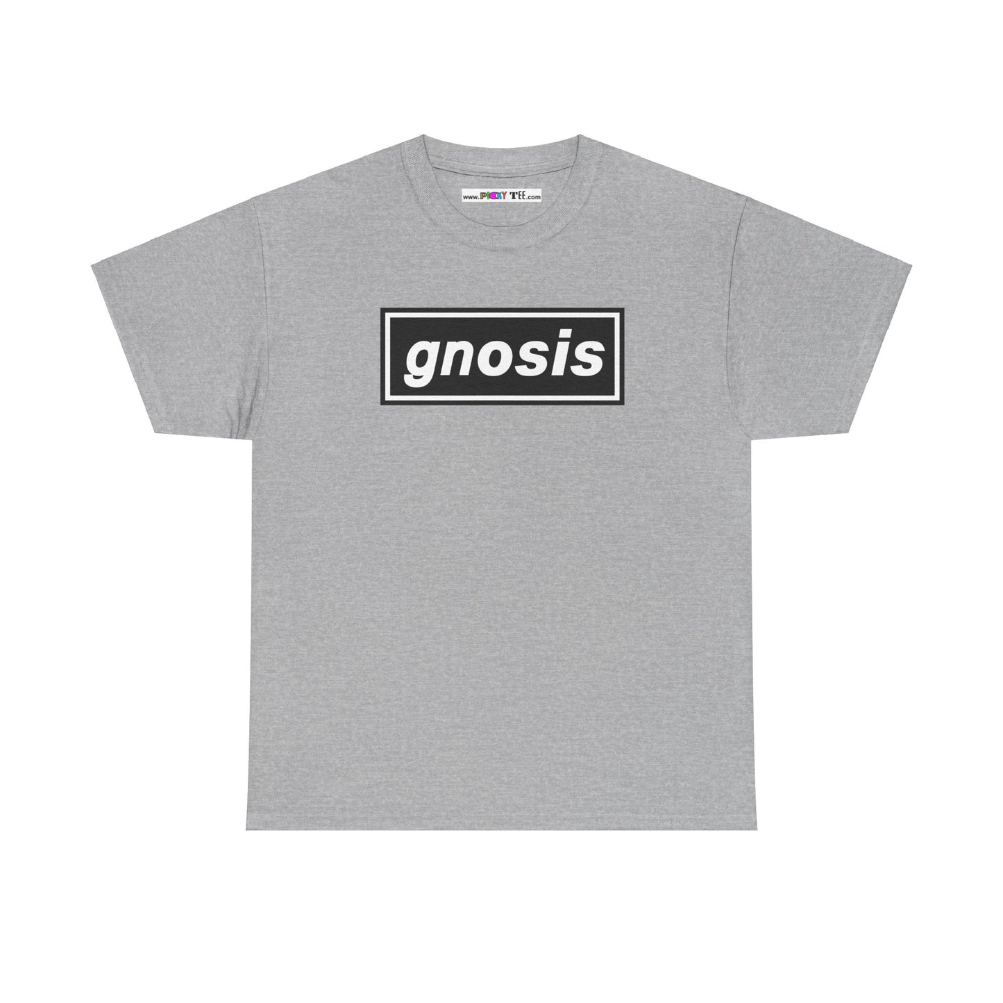 GNOSIS Unisex Heavy Cotton Tee