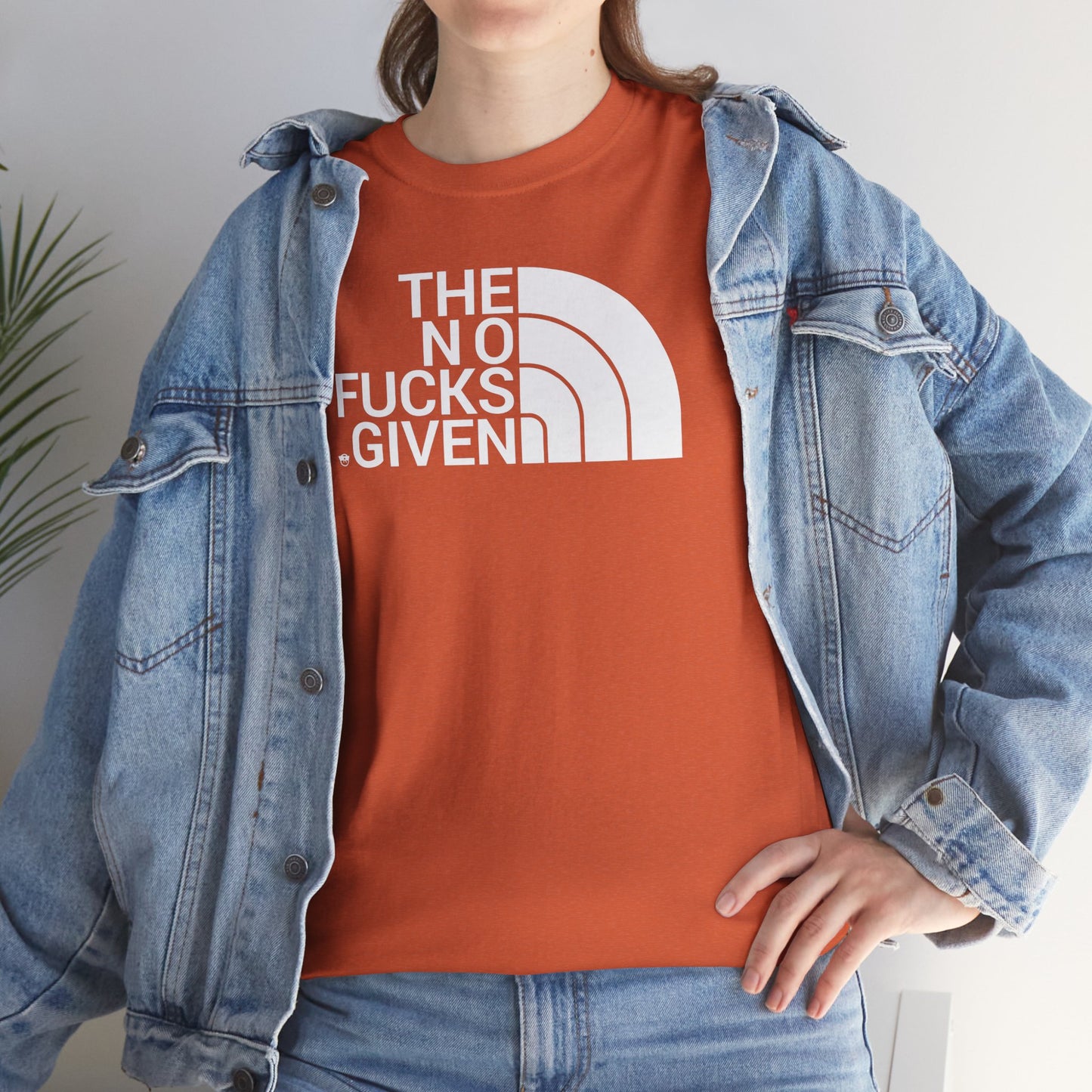 THE NO FUCKS GIVEN Unisex Heavy Cotton Tee