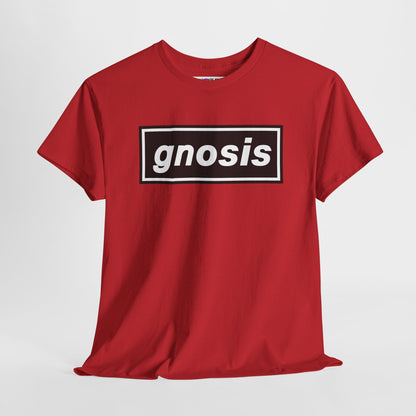 GNOSIS Unisex Heavy Cotton Tee