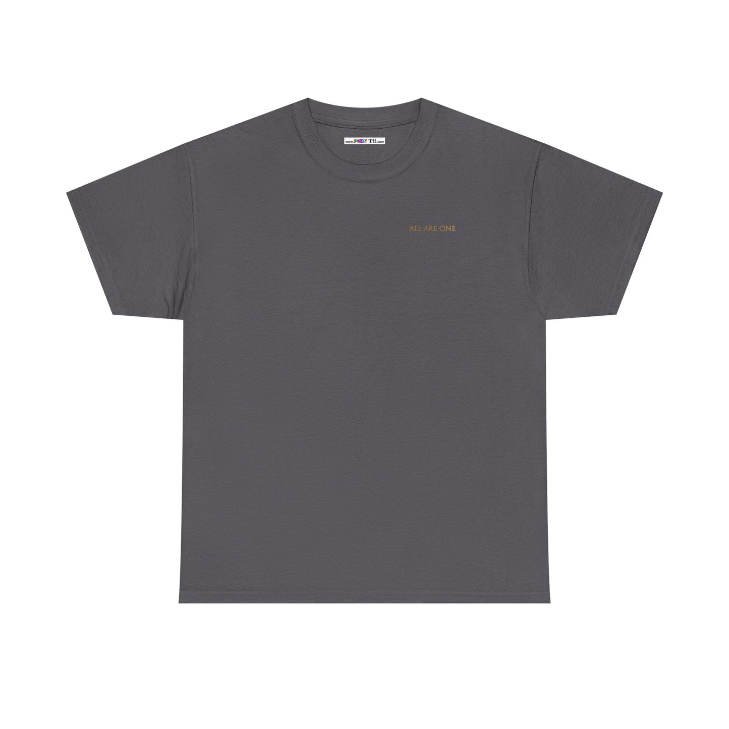 ALL ARE ONE Unisex Heavy Cotton Tee