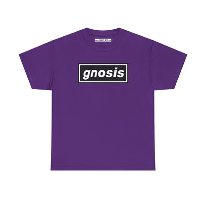 GNOSIS Unisex Heavy Cotton Tee