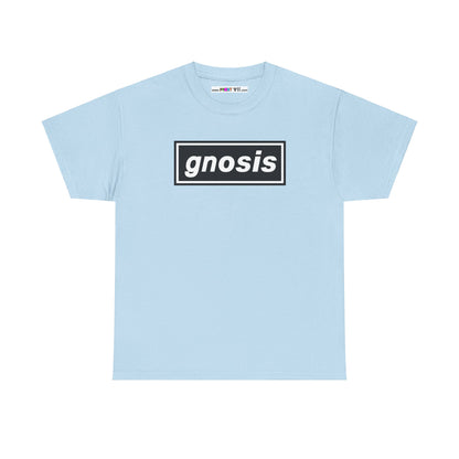 GNOSIS Unisex Heavy Cotton Tee