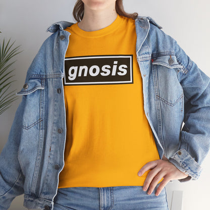 GNOSIS Unisex Heavy Cotton Tee