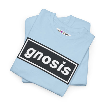 GNOSIS Unisex Heavy Cotton Tee