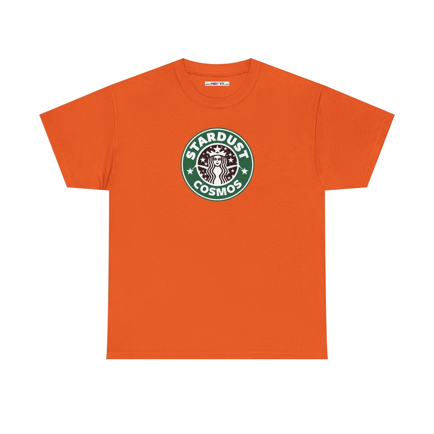 STARDUST COSMOS Unisex Heavy Cotton Tee
