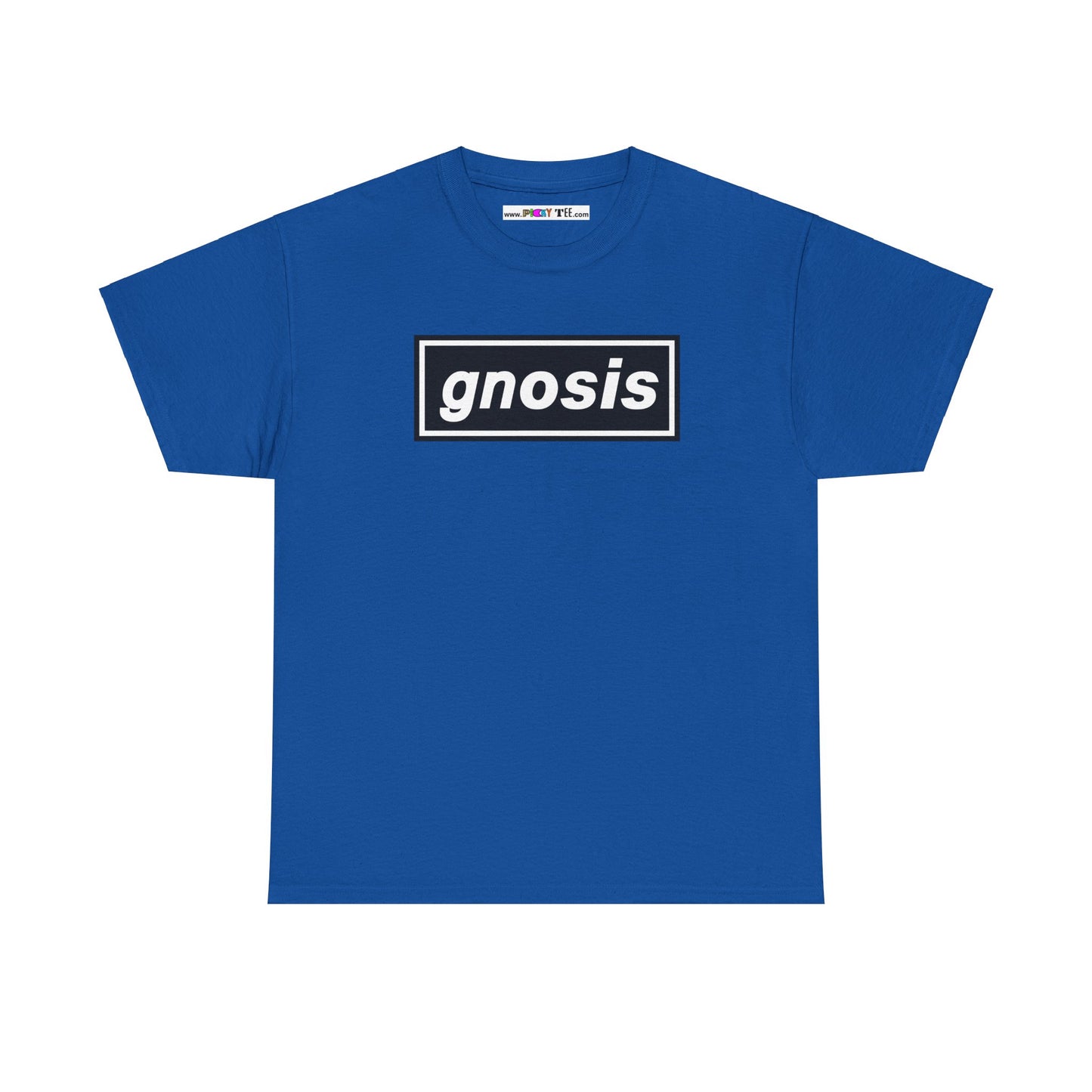 GNOSIS Unisex Heavy Cotton Tee