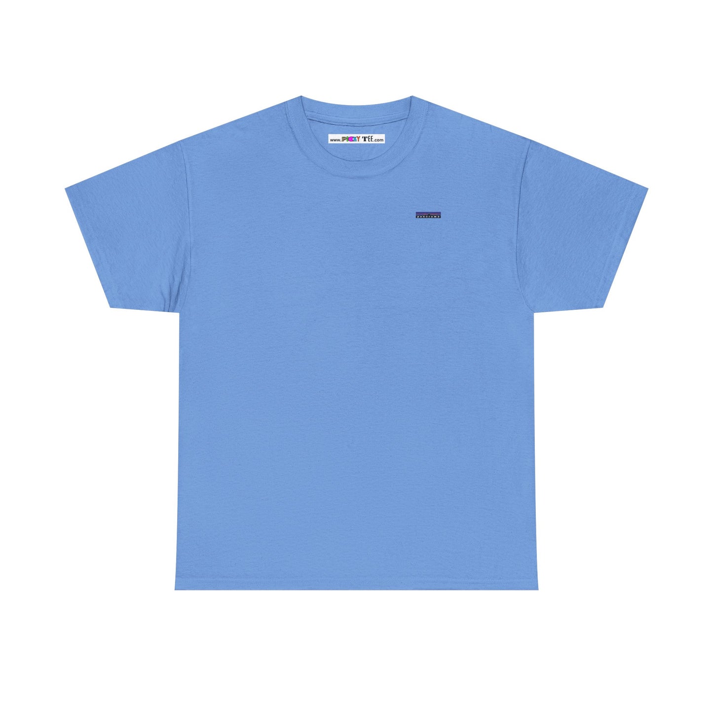 p a n o r a m a Unisex Heavy Cotton Tee