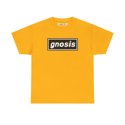 GNOSIS Unisex Heavy Cotton Tee