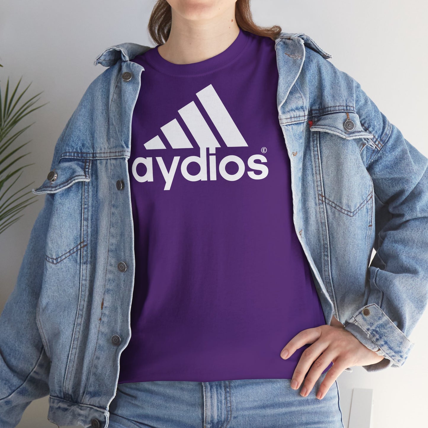 aydios Unisex Heavy Cotton Tee