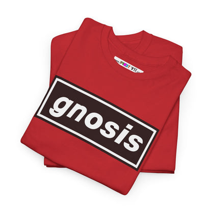 GNOSIS Unisex Heavy Cotton Tee