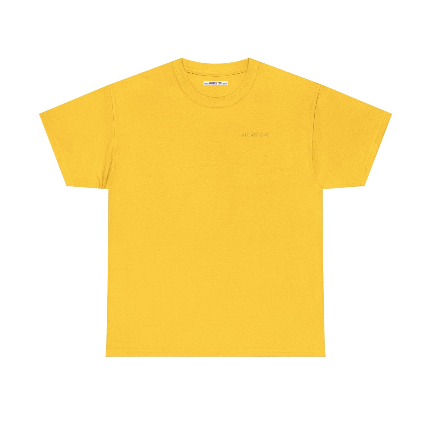 ALL ARE ONE Unisex Heavy Cotton Tee