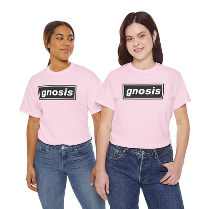 GNOSIS Unisex Heavy Cotton Tee