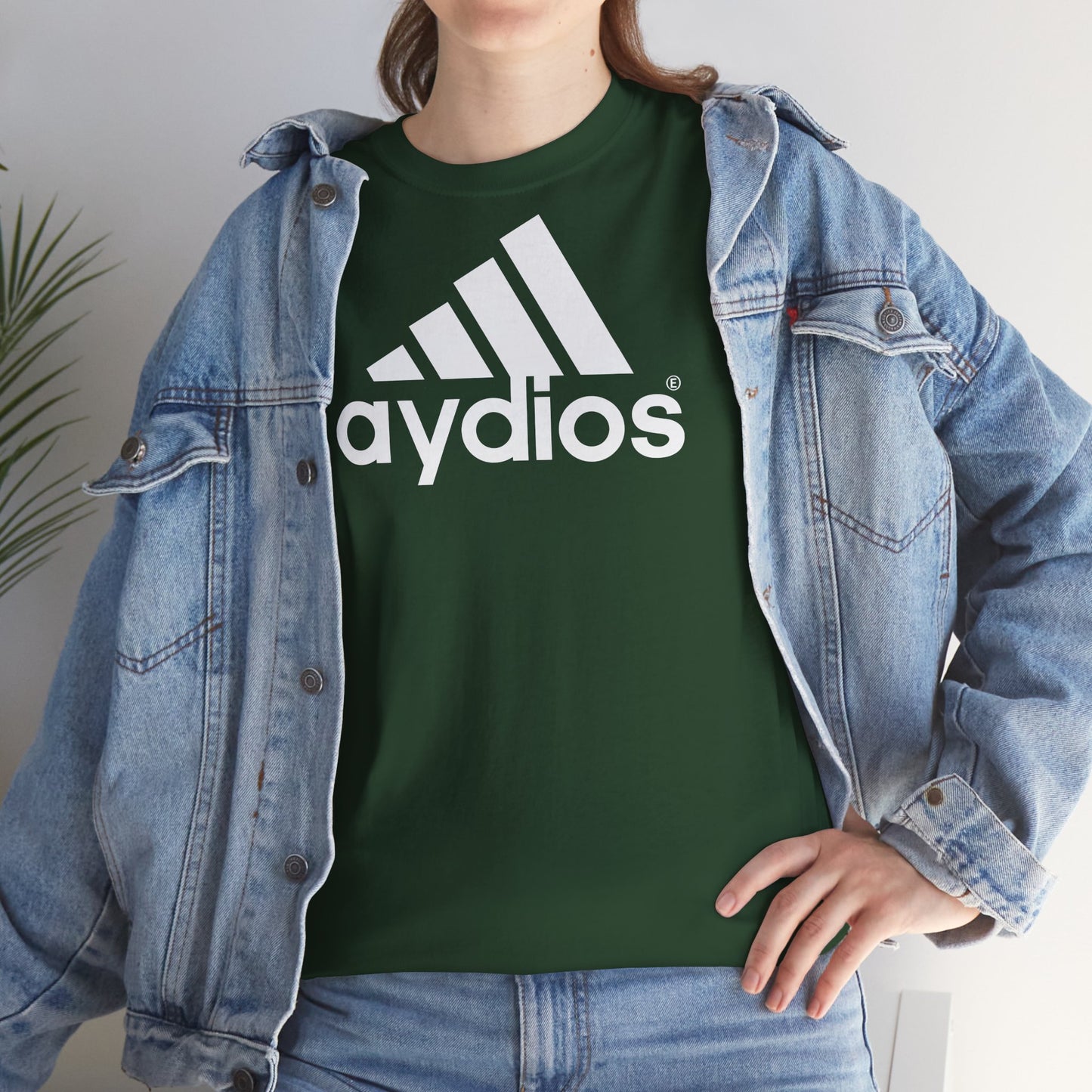 aydios Unisex Heavy Cotton Tee