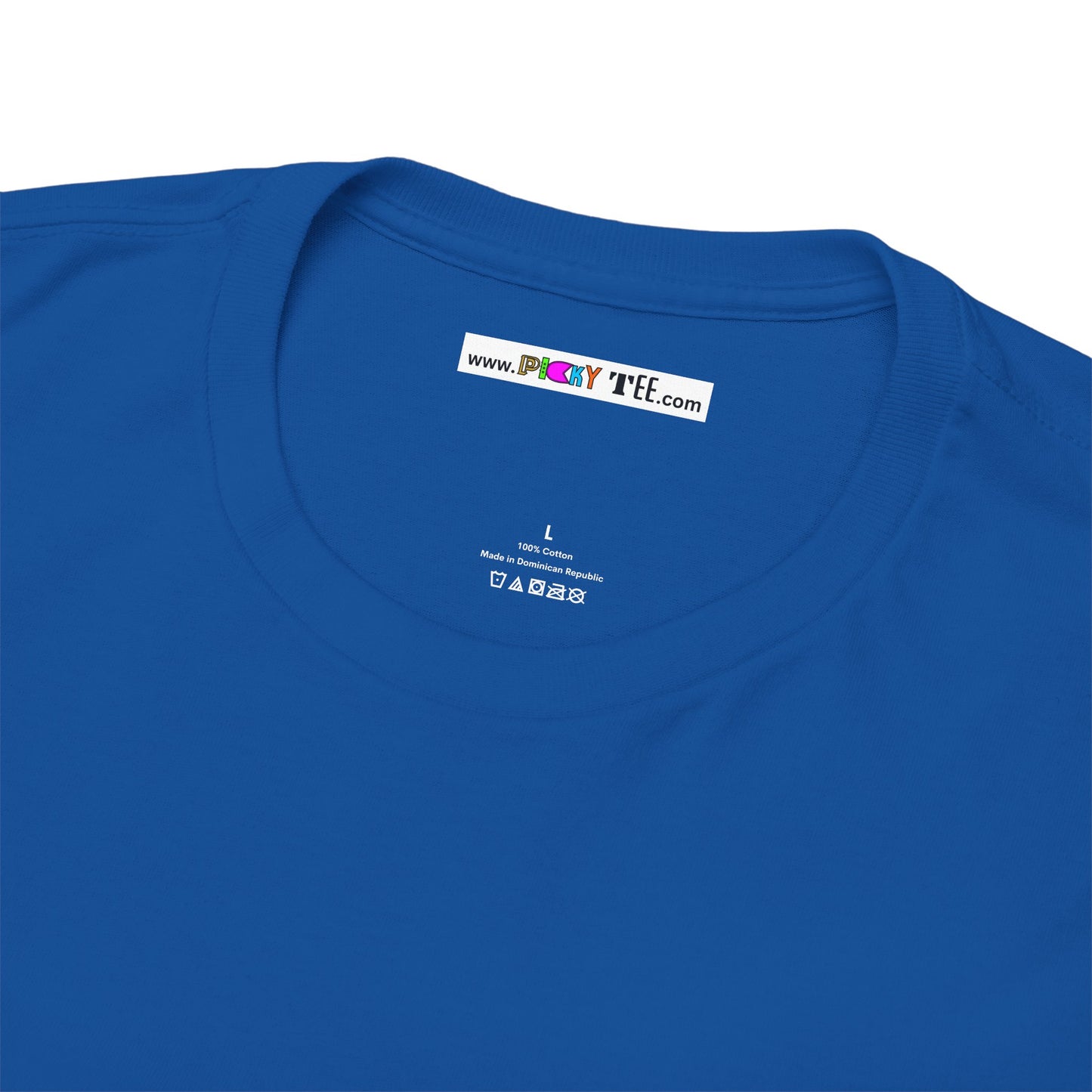 WE ARE SPIRIT IN THE MATERIAL WORLD Unisex Softstyle 100% Cotton T-Shirt