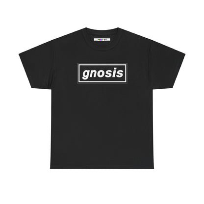 GNOSIS Unisex Heavy Cotton Tee