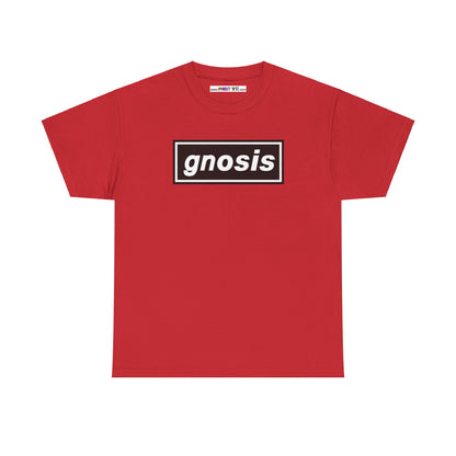 GNOSIS Unisex Heavy Cotton Tee