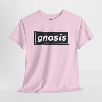 GNOSIS Unisex Heavy Cotton Tee