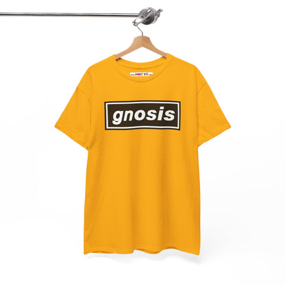 GNOSIS Unisex Heavy Cotton Tee