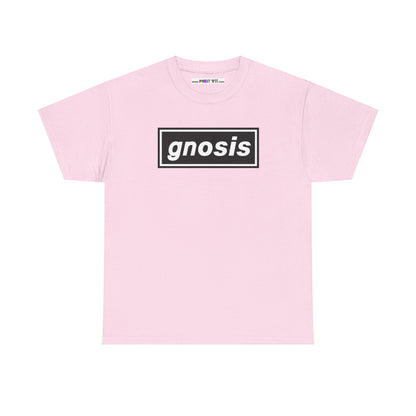 GNOSIS Unisex Heavy Cotton Tee